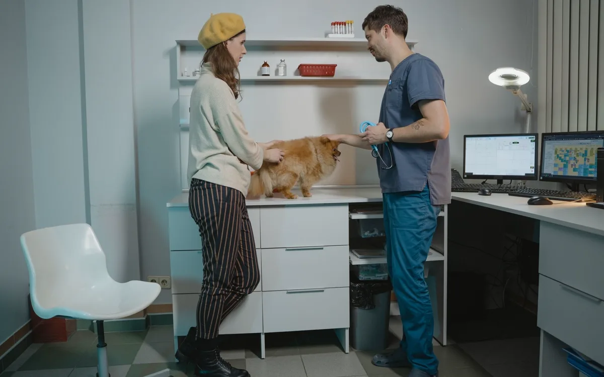 Veterinária e tutora com Pomeranian em ambiente de clínica veterinária